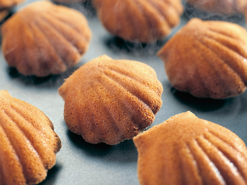 シェルレーヌ（ブランカ）